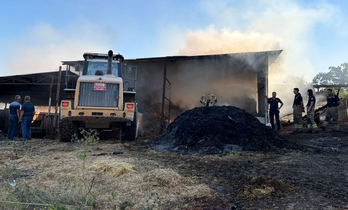 Bursa Karacabey'de yanan çiftlikten görüntüler