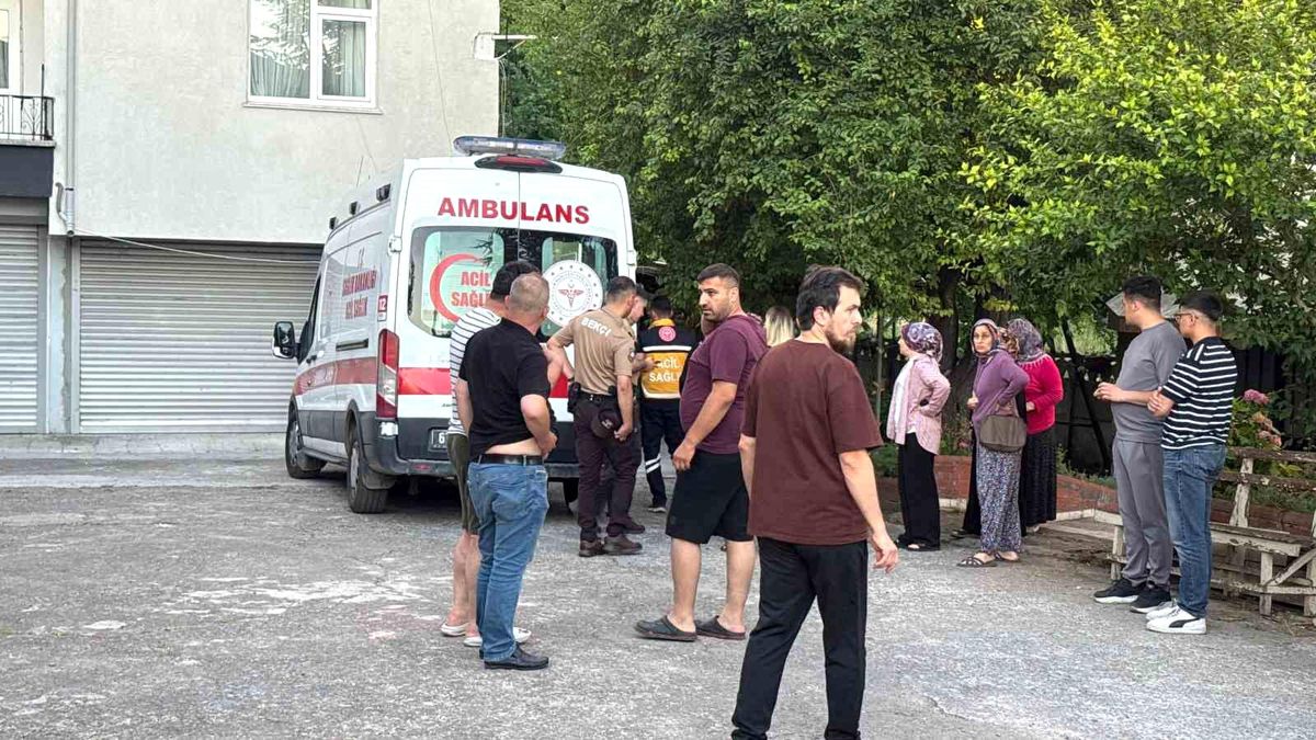 Alaplı'da dut toplarken ağaçtan düşen bir kişinin hastaneye kaldırılmasını gösteren temsili bir görsel.