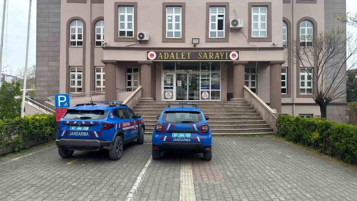 Alaplı'da düzenlenen kenevir operasyonunda ele geçirilen malzemeler.