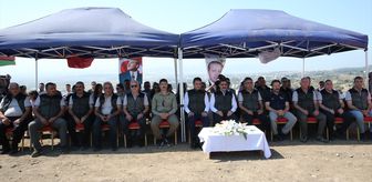 Hatay'da orman yangınında zarar gören alana 1000 fidan dikildi