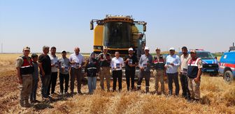 Kilis'te anız yangınlarına karşı dron destekli denetim