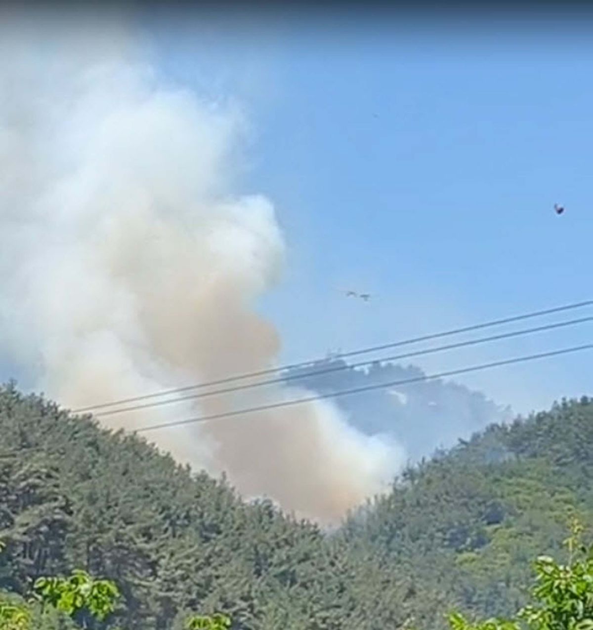 Manisa Soma'da çıkan orman yangınına havadan ve karadan müdahale ediliyor.