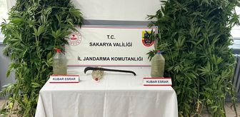 Sakarya'da uyuşturucu operasyonunda 3 zanlı tutuklandı