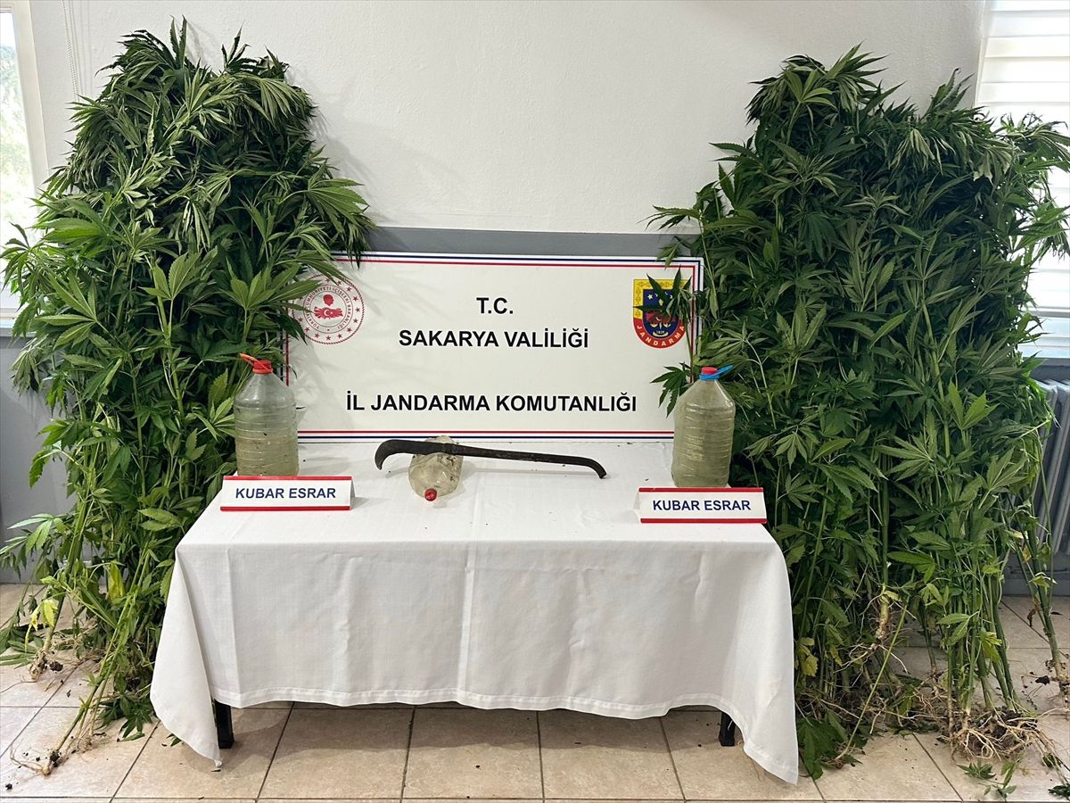 Sakarya'da uyuşturucu operasyonunda 3 zanlı tutuklandı