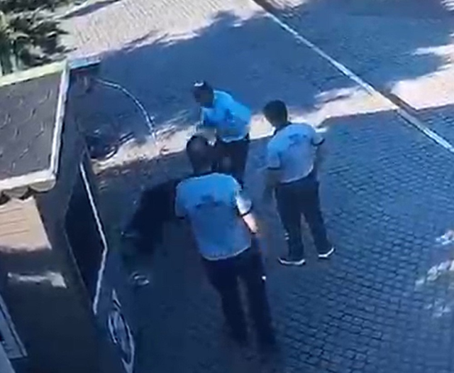 كلب جيجي