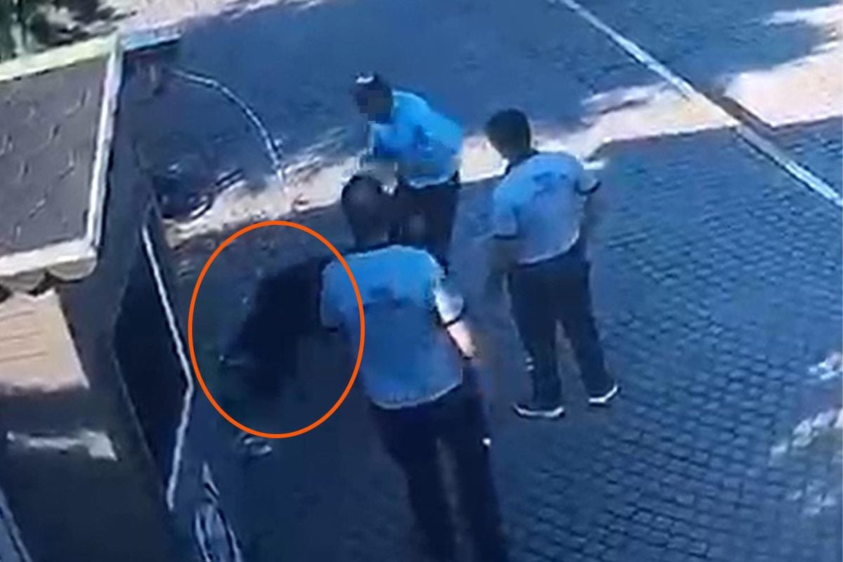 Salihli'de hem güvenlik görevlisine hem de köpeğe tekmeli saldırıya tutuklama