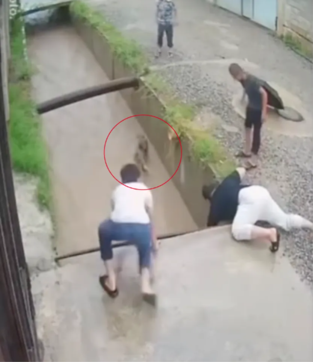 Sel sularına kapılan 12 yaşındaki çocuğu vatandaşlar son anda kurtardı 5 sel sularina kapilan 12 yasind 76256789 2762 1 m