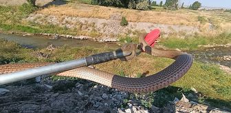 Sivas'ta eve giren yılanı itfaiye ekipleri yakaladı