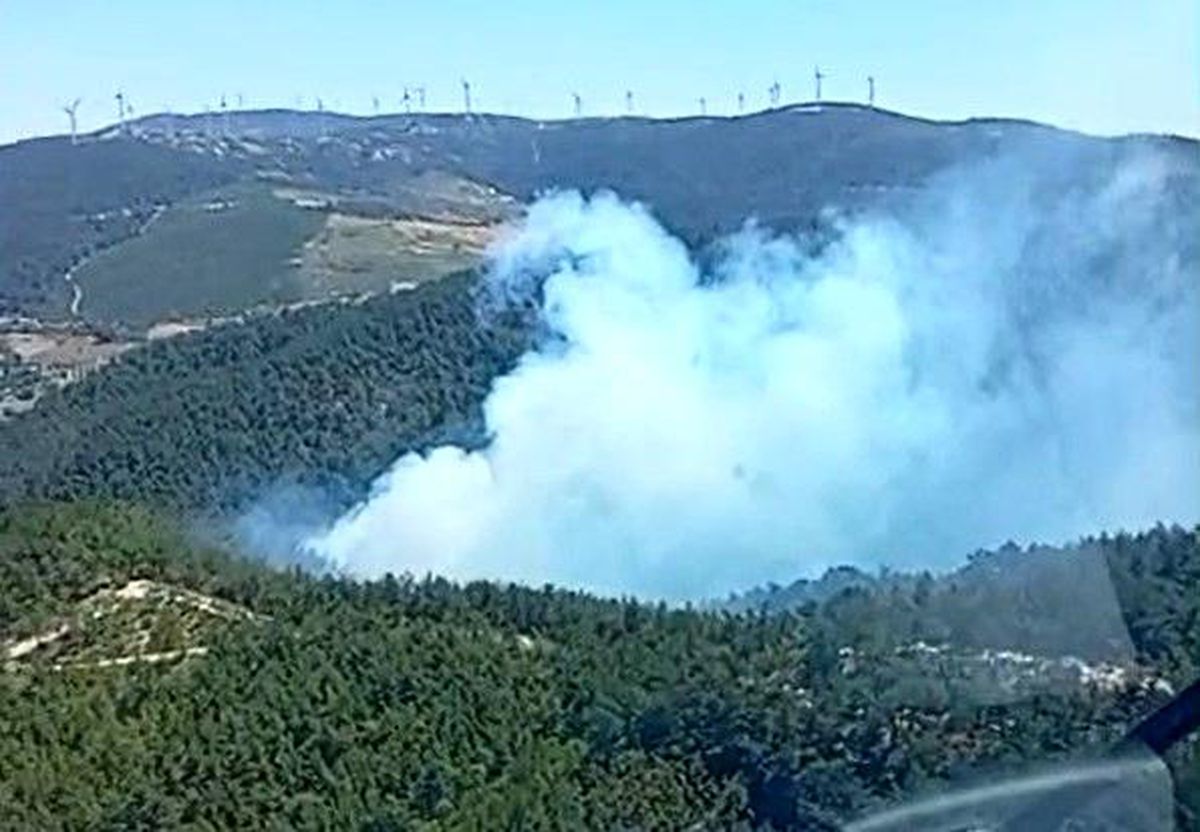 Soma'daki orman yangınına havadan ve karadan müdahale başladı