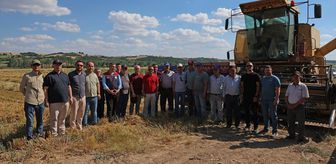 Trakya Tarımsal Araştırma Enstitüsünce geliştirilen yulaf çeşitlerinin hasadı yapıldı