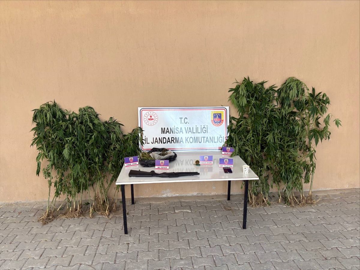 Uyuşturucu üretimi için ormanda kenevir yetiştirdiği fotokapanla belirlenen şüpheli tutuklandı