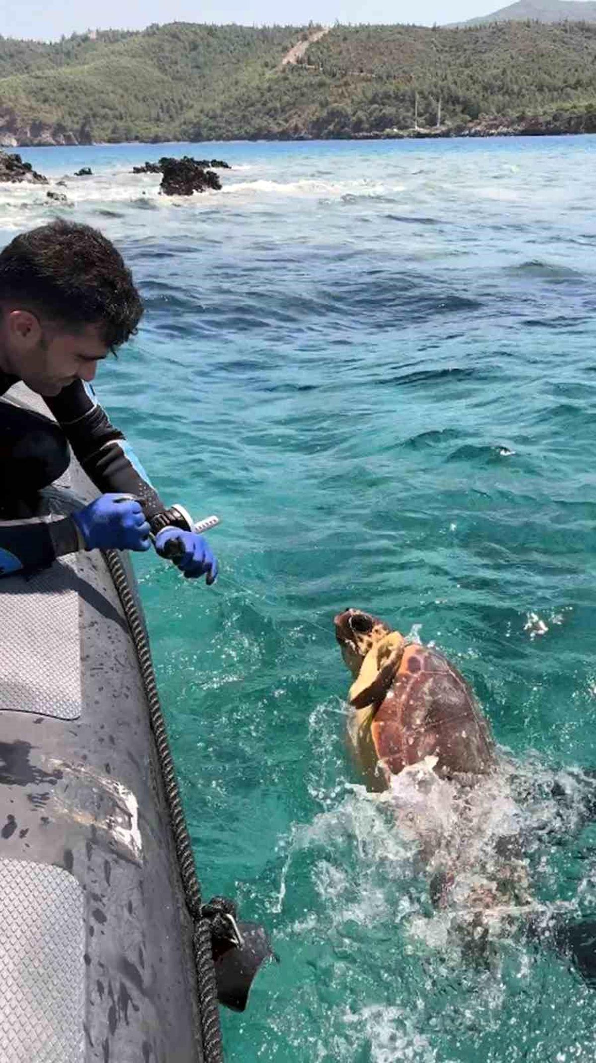 Ağa takılan deniz kaplumbağasını dernek görevlileri kurtardı