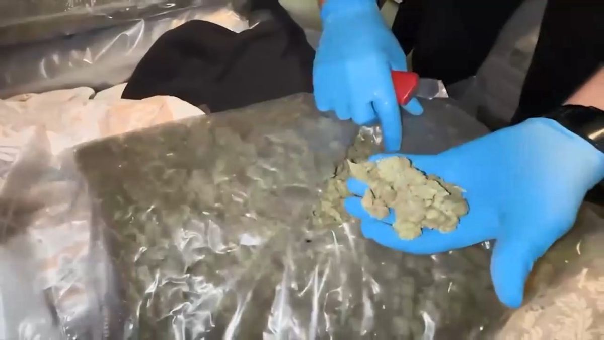 Arnavutköy ve Zeytinburnu'nda Uyuşturucu Operasyonu: 5 Gözaltı, 198 Kilogram Skunk Ele Geçirildi