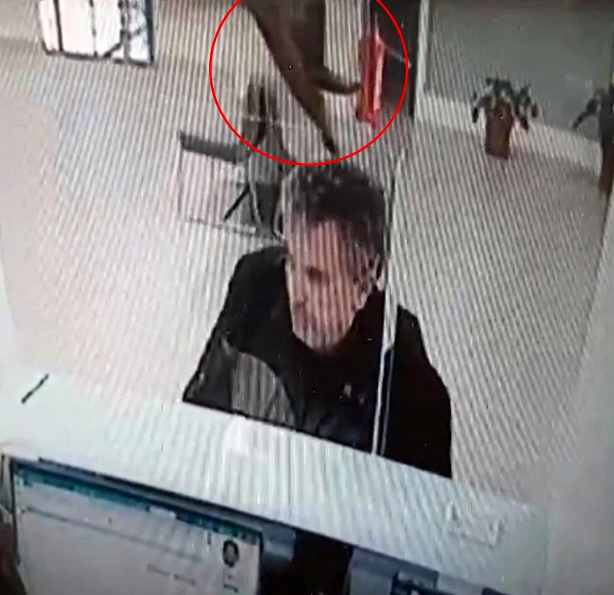 Bolu'da bir banka şubesinde tavandan kedi düşme anı