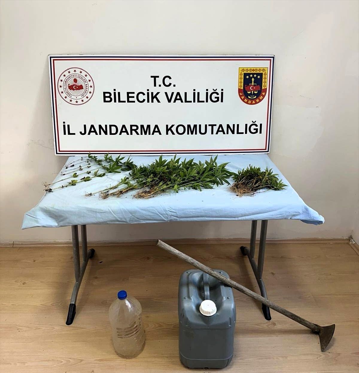 Bilecik'te ormanlık alanda Hint keneviri yetiştiren zanlı yakalandı