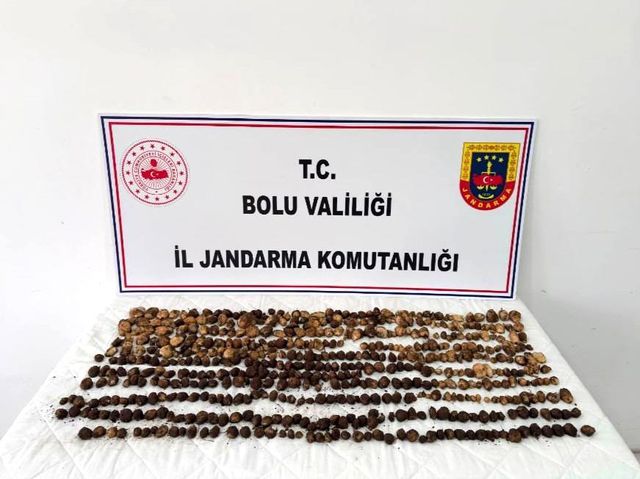 bolu da 2 milyon liralik salep cezasina isyan 6 19988218 o
