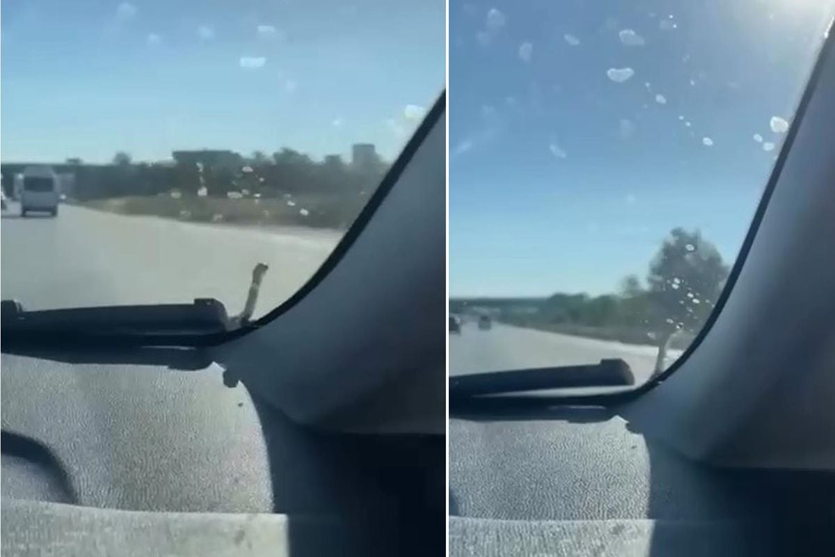 Seyir halindeki aracın kaputunda yılan paniği