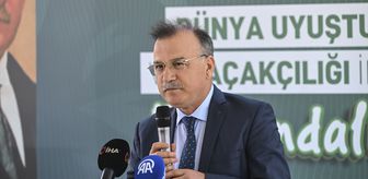 İstanbul'da Uyuşturucuyla Mücadele Günü Etkinliği