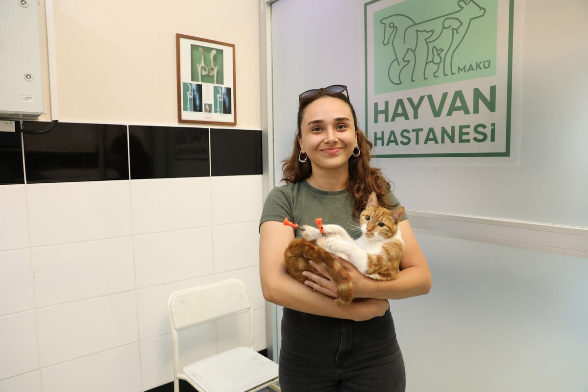 3 boyutlu implantla yeniden yürüyen kedi 'Balım' sağlığına kavuştu