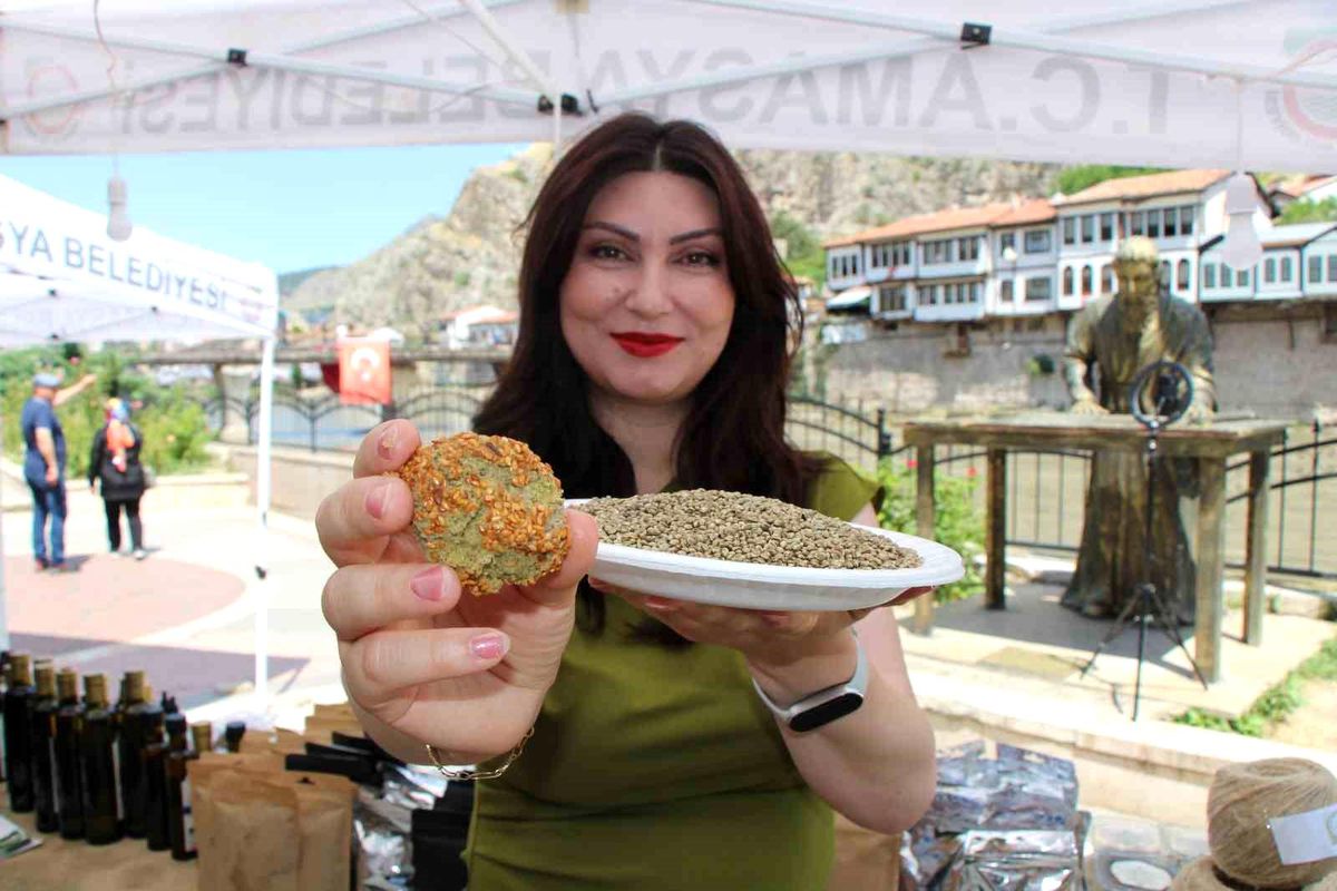 Amasyalı Gıda Mühendisi: Kenevir Kurabiyesi Etten Daha Fazla Protein İçeriyor