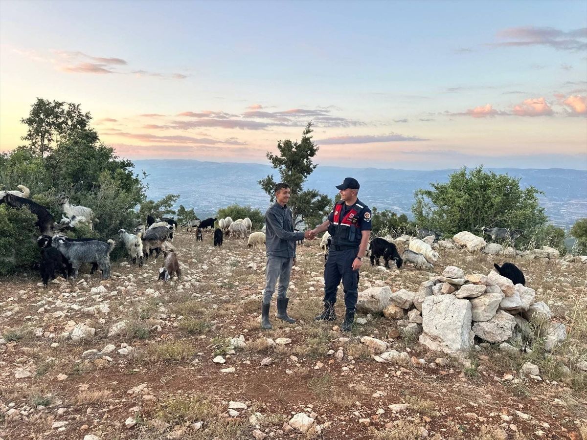 Gülnar'da kaybolan 40 küçükbaş hayvan dronla bulundu