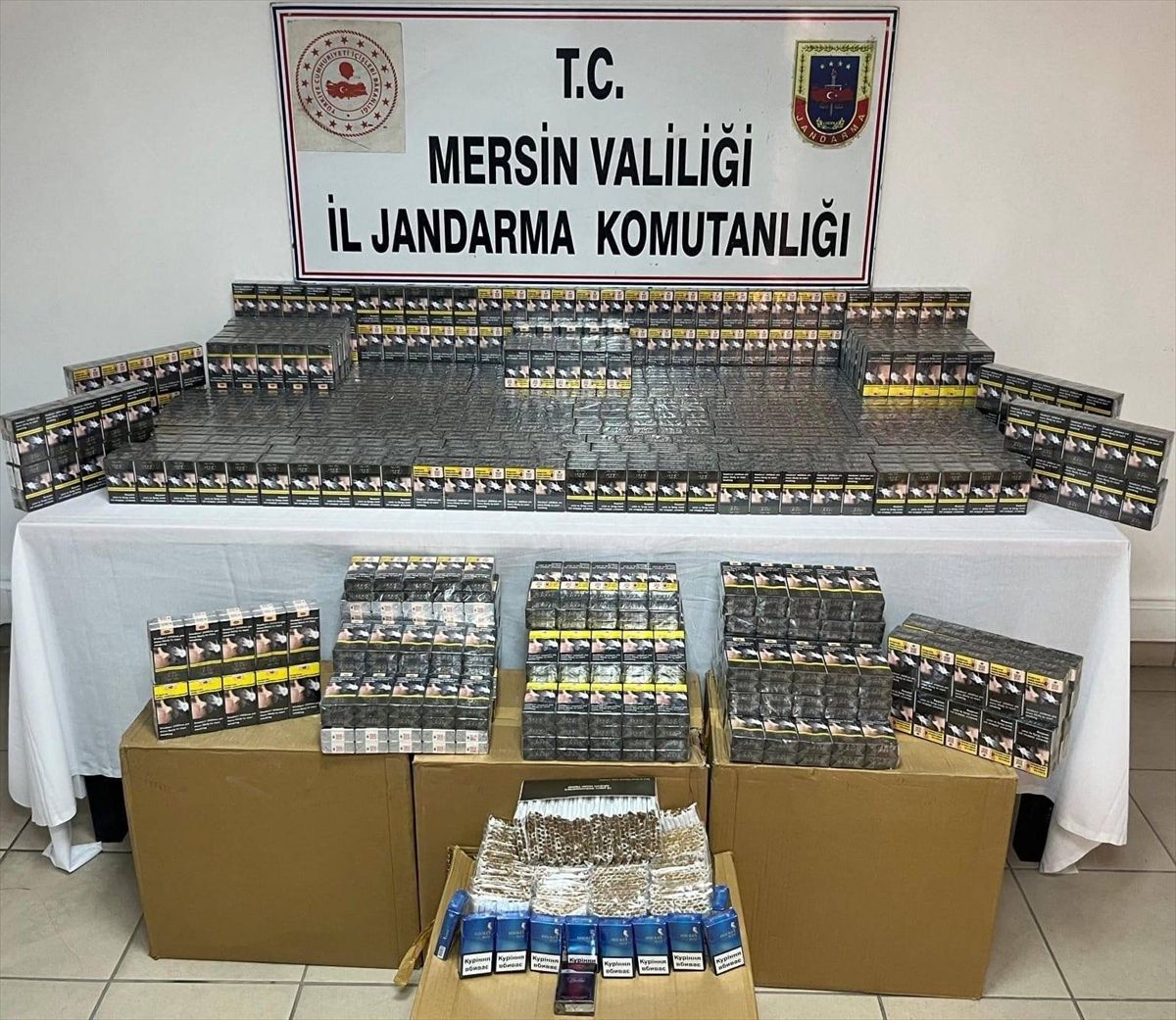 Mersin'de sigara kaçakçılığı iddiasıyla 2 şüpheli yakalandı