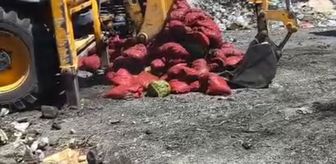 Soma'da bozuk 4 ton midye imha edildi