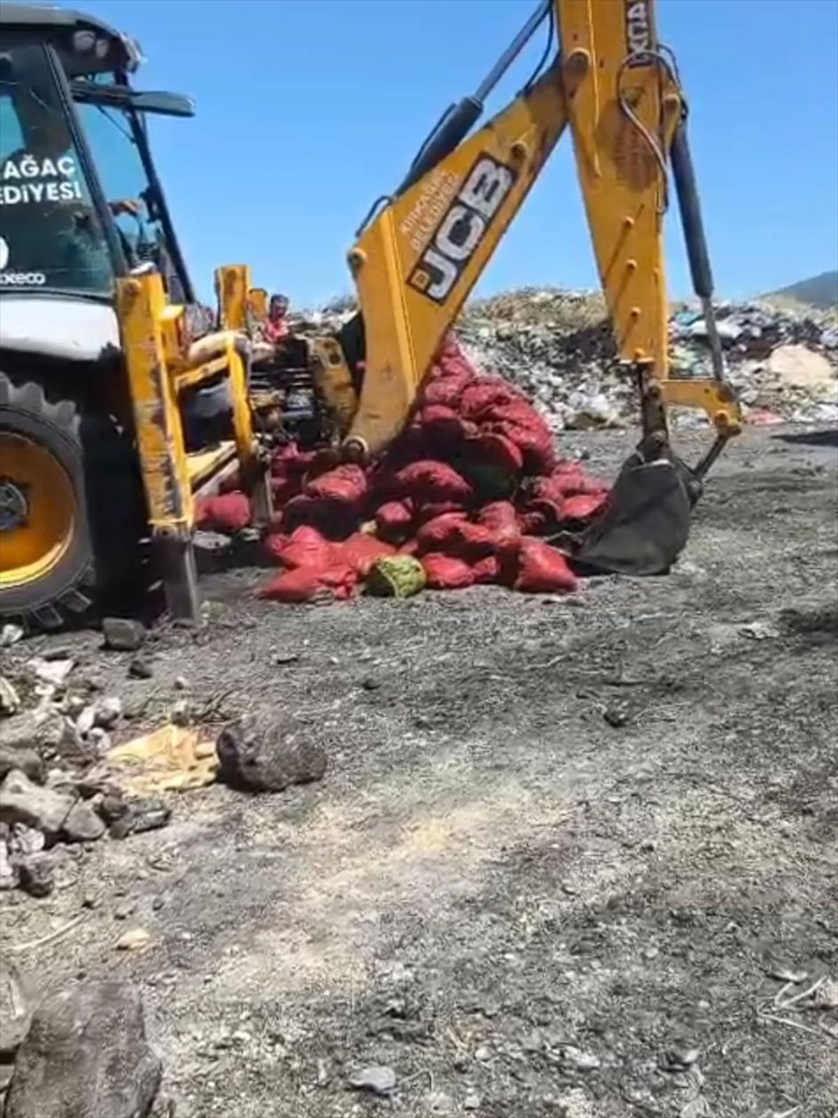 Soma'da bozuk 4 ton midye imha edildi