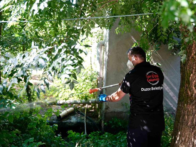 Vatandaşlara, Asya Kaplan sivrisineği uyarısı