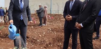 Adana'da hükümlüler 5 bin zeytin fidanını toprakla buluşturdu