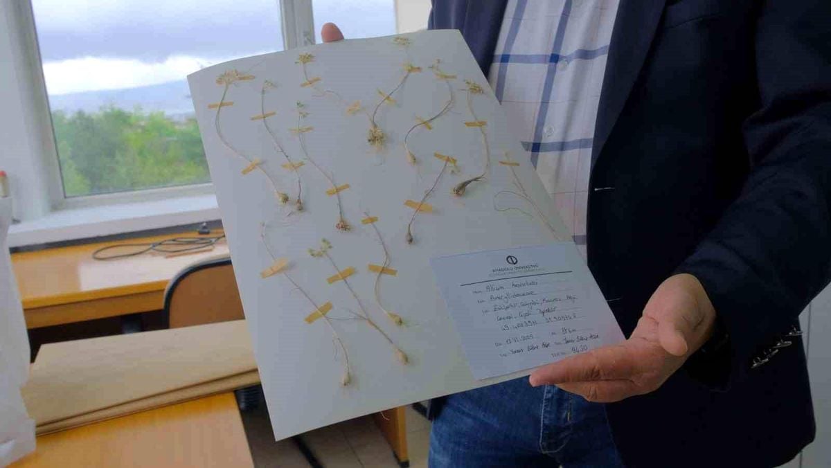 Anadolu Üniversitesi'nden dünya literatürüne iki yeni endemik tür