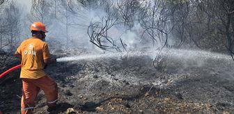 Antalya'da çıkan orman yangınına müdahale ediliyor