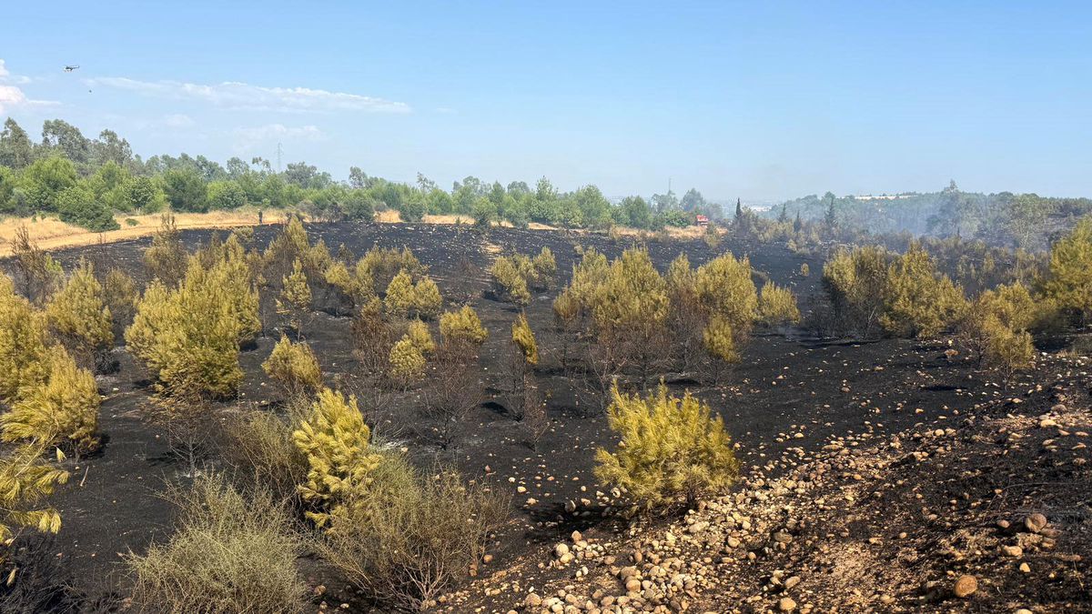 Antalya Aksu'da orman yangınına müdahale