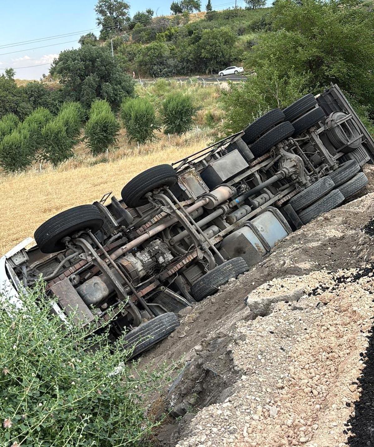Arpa yüklü kamyon şarampole devrildi