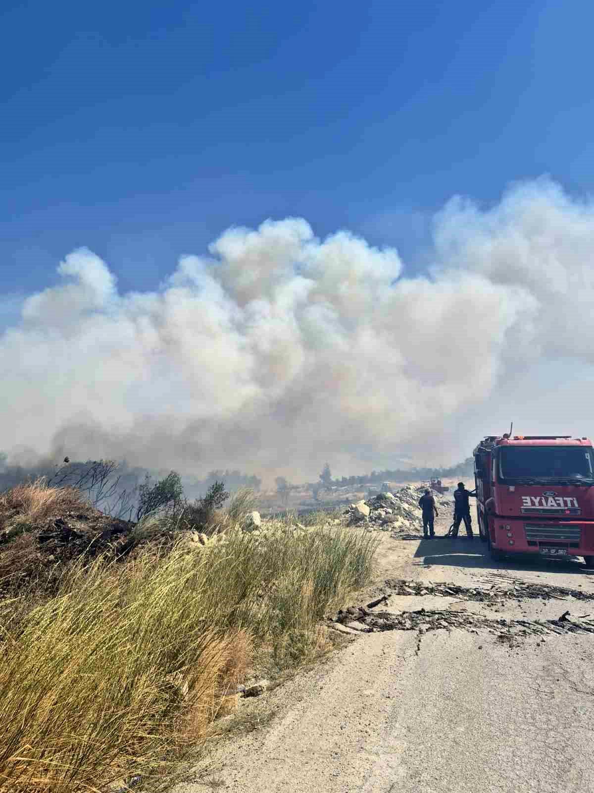 Balıkesir'deki orman yangını kontrol altına alındı