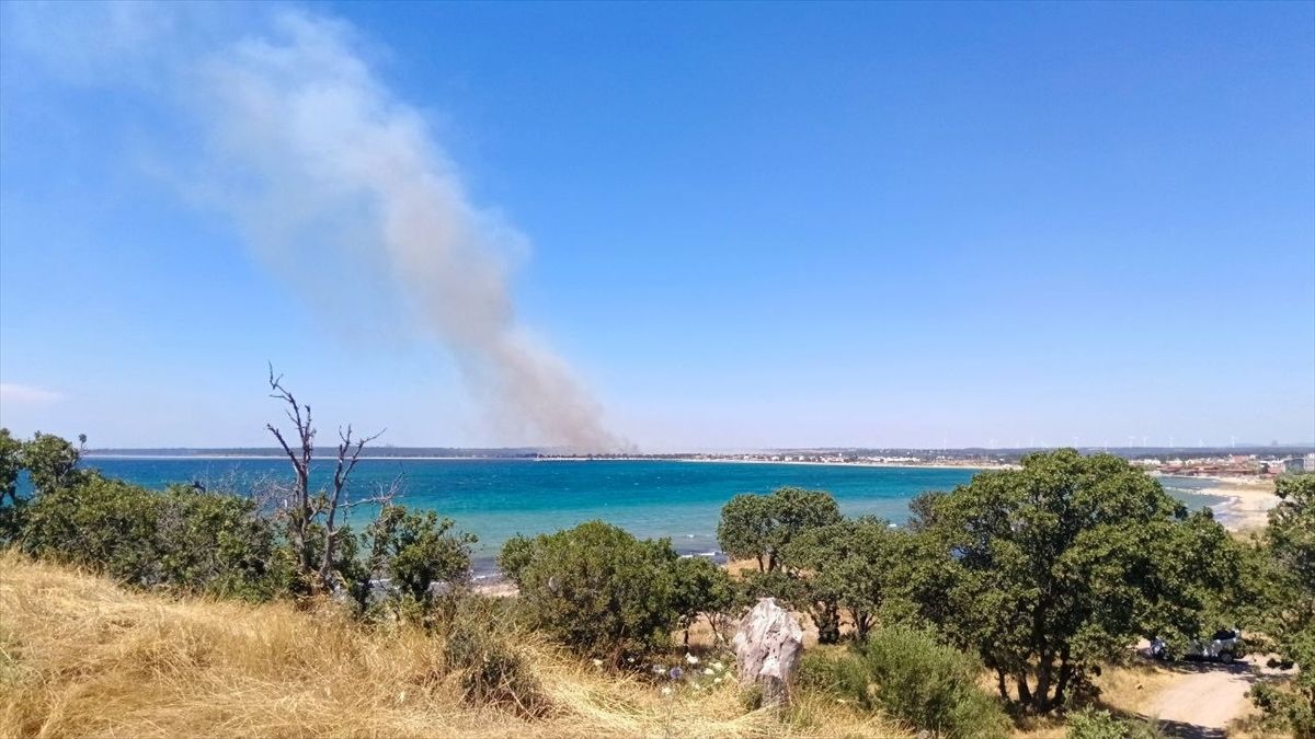 Çanakkale'de tarım arazisinde çıkan yangın kontrol altına alındı