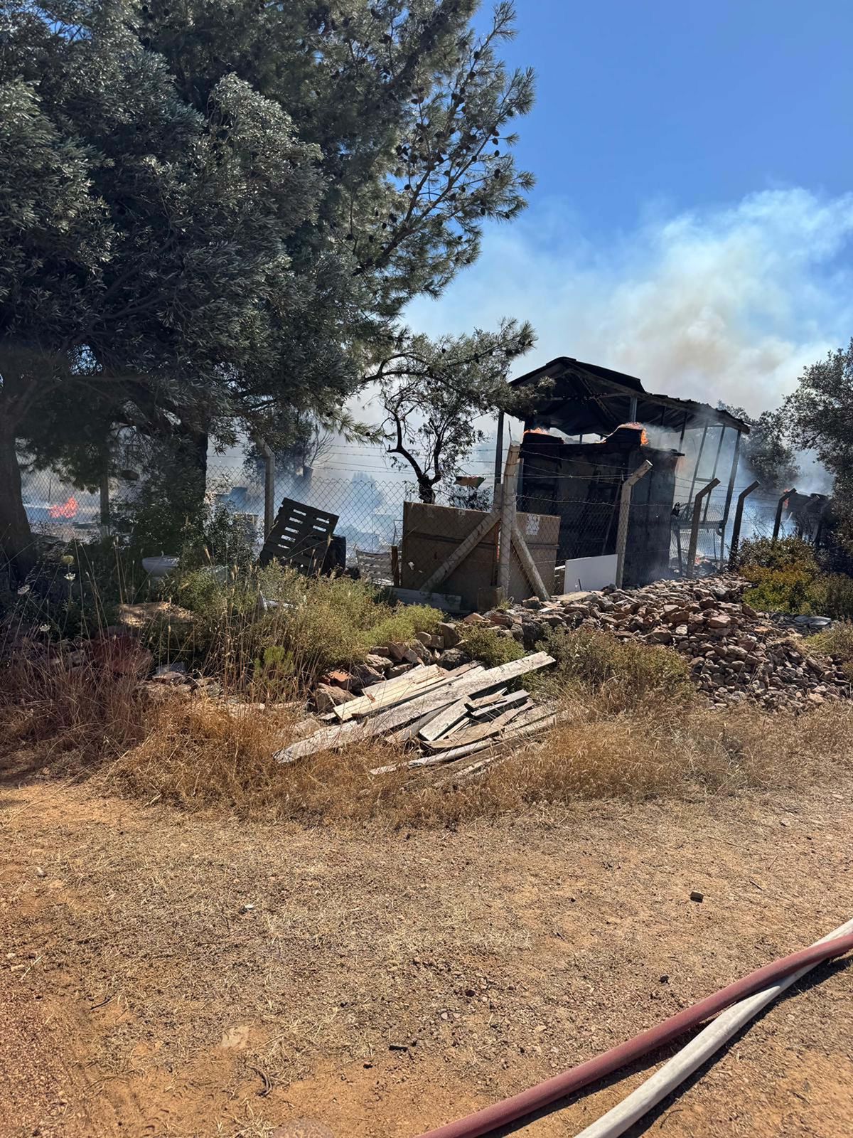 Cunda'da makilik alanda çıkan yangın ormanı yaktı