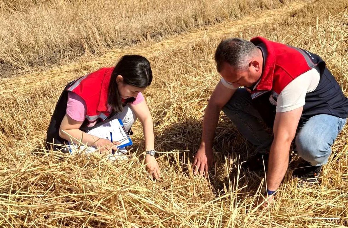 Hayrabolu'da biçerdöver denetimi yapan yetkililer
