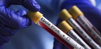 Kongo Demokratik Cumhuriyeti'nde Ebola salgınında vaka sayısı 1155'e yükseldi