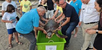 Muğla'da tedavi edilen deniz kaplumbağası 'Şimşek' denize bırakıldı