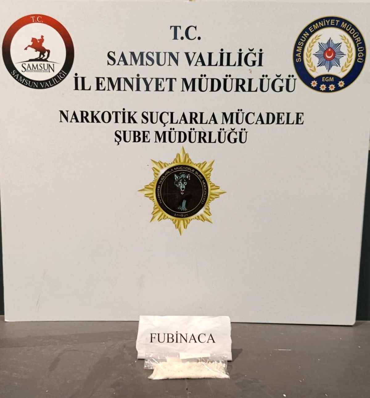 Samsun'da uyuşturucu operasyonunda 1 gözaltı