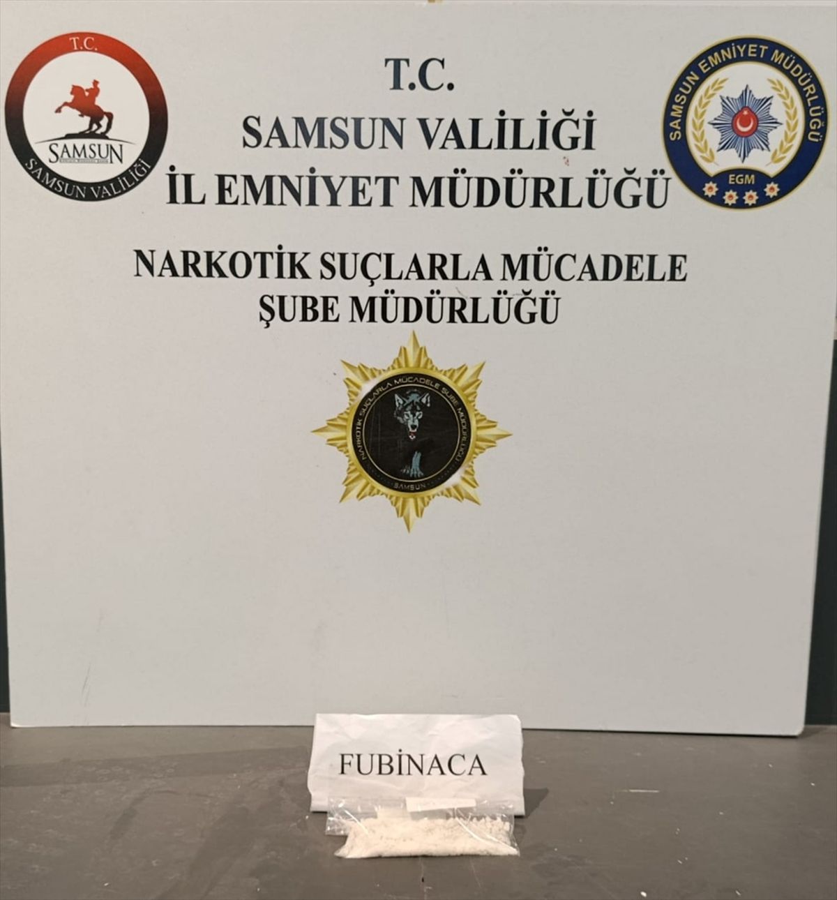 Samsun'da uyuşturucu operasyonunda 1 zanlı yakalandı
