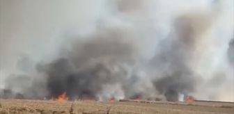 Tekirdağ'da 400 dekar buğday ekili alan yandı