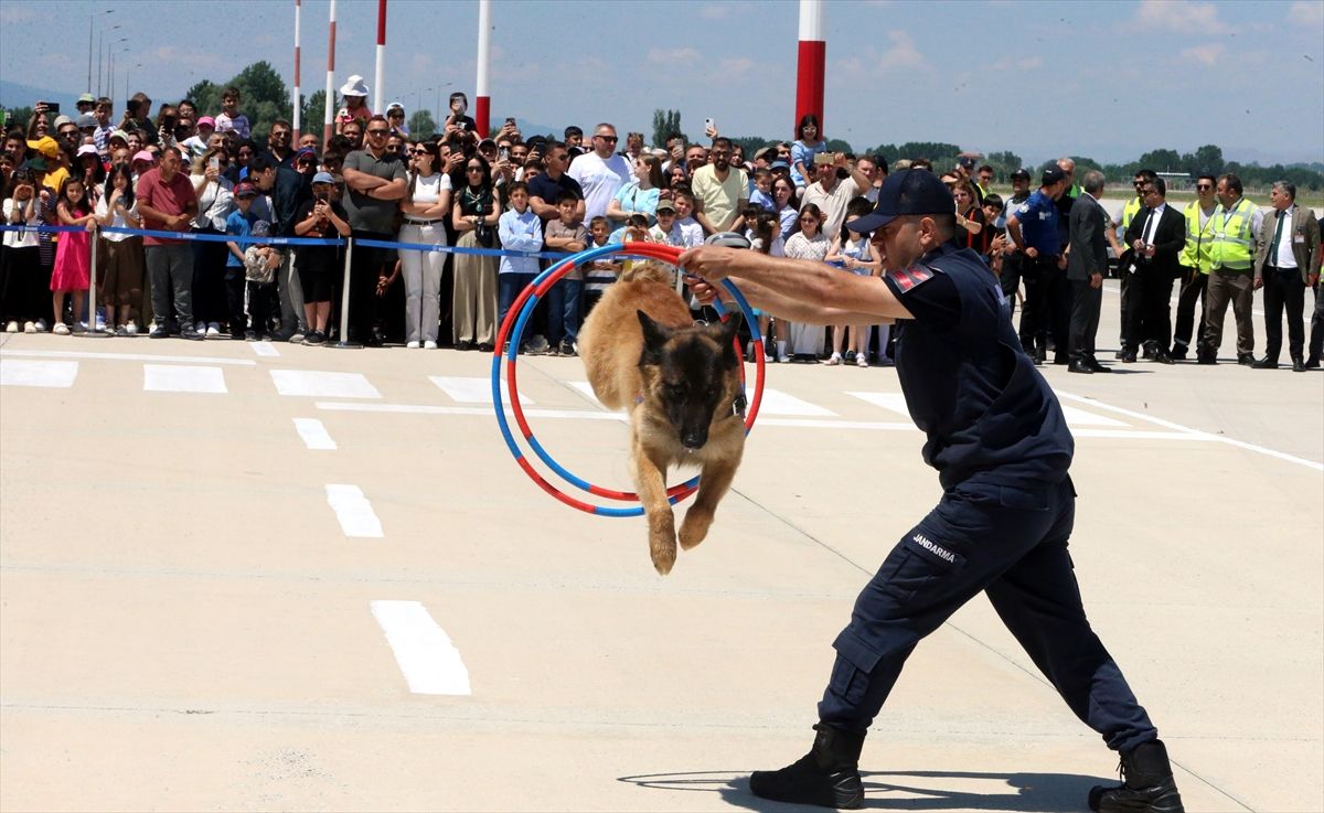 Tokat'ta Türk Hava Kuvvetleri paraşüt ekibi gösteri yaptı