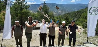 Tokat'ta zararlılarla mücadele için doğaya 200 keklik salındı