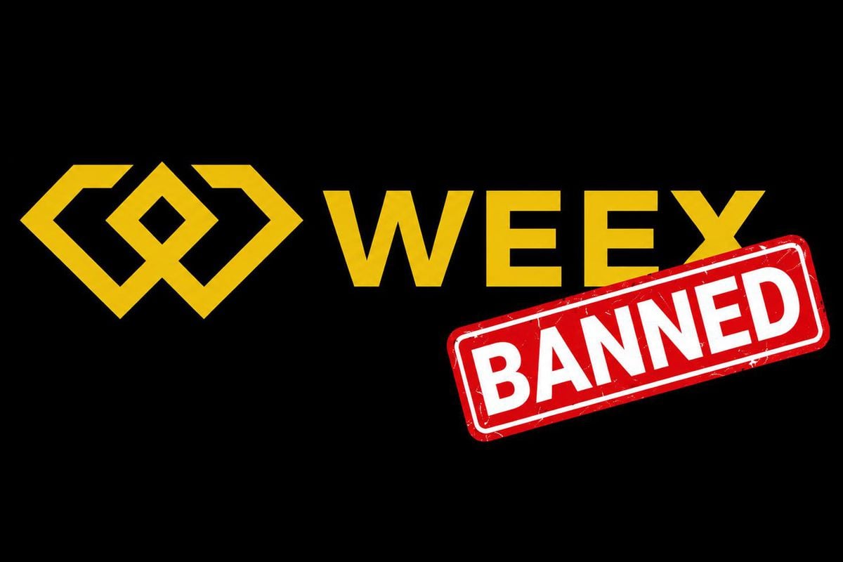 WEEX kripto borsasının Türkiye'deki yasa dışı faaliyetleri