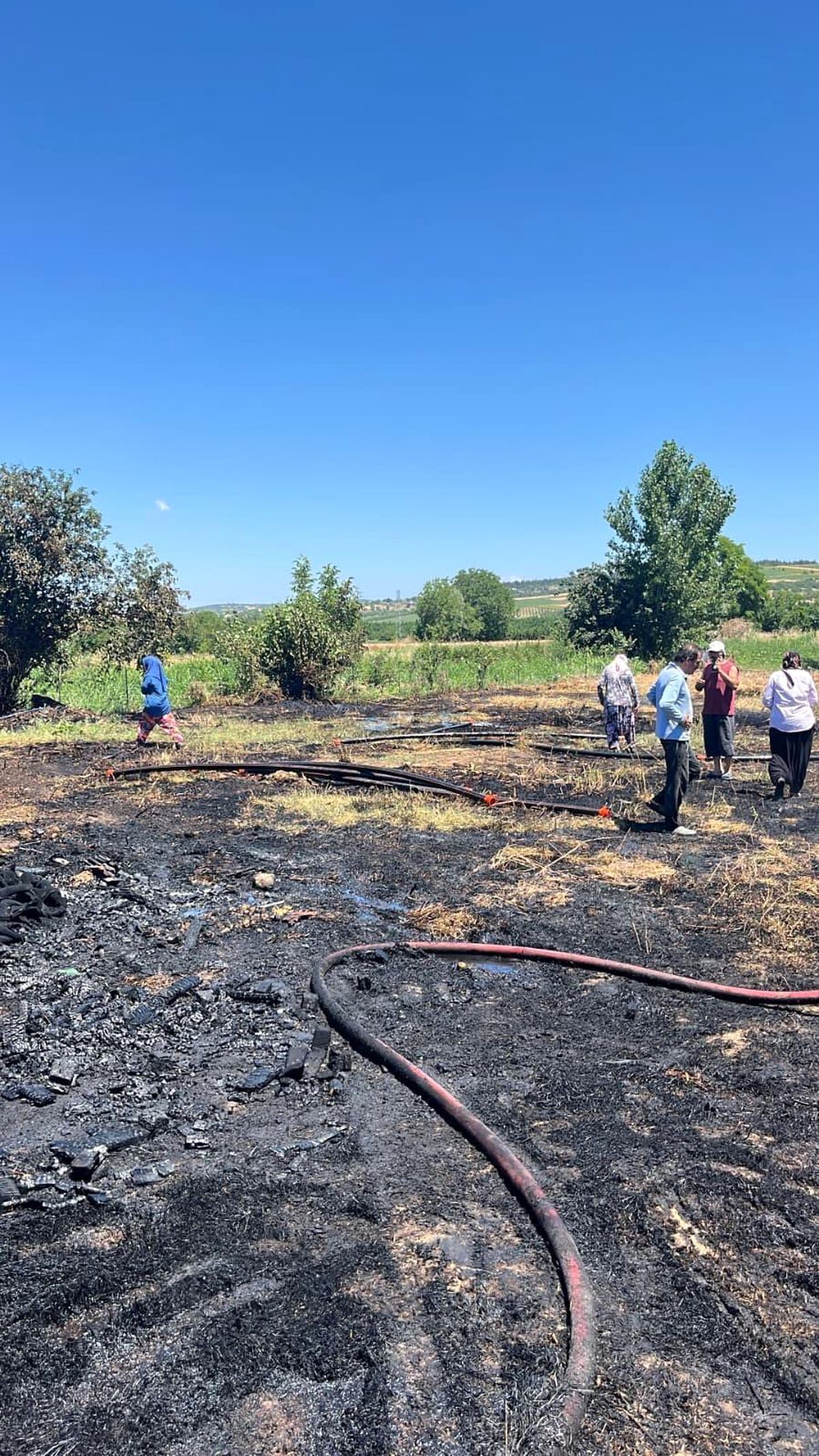 Anız alevi 20 dönümü küle çevirdi