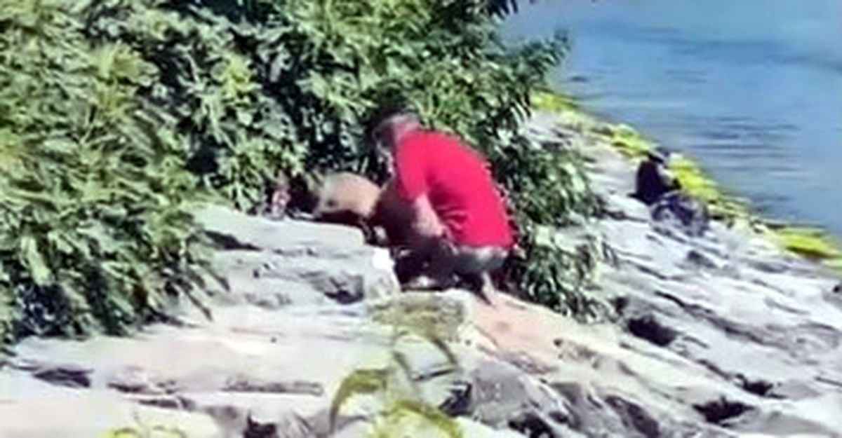 Avcılar Sahili'nde köpeğe şiddet kamerada