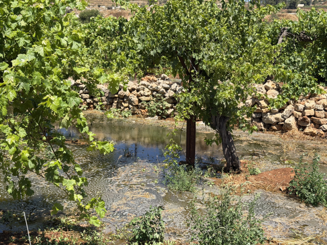 bati seriadaki israilli yerles 19996091 3009 1 m