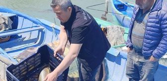 Beyşehir'den kısa kısa